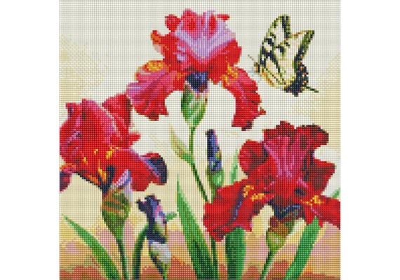 Ideyka AMO7650 Diamond Painting Edle Schwertlilien 40 x 40 mit Rahmen