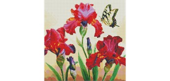 Ideyka AMO7650 Diamond Painting Edle Schwertlilien 40 x 40 mit Rahmen