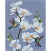 ideyka AMO7713 Diamond Painting - Blühende Orchideen mit Rahmen 40 x 50 cm