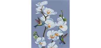 ideyka AMO7713 Diamond Painting - Blühende Orchideen mit Rahmen 40 x 50 cm