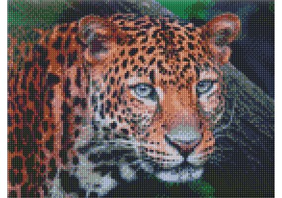 ideyka AMO7724 Diamond Painting - Leopard mit Rahmen 30 x 40 cm