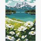 Ideyka AMO7803 Diamond Painting Blühende Gänseblümchen 30 x 40 mit Rahmen