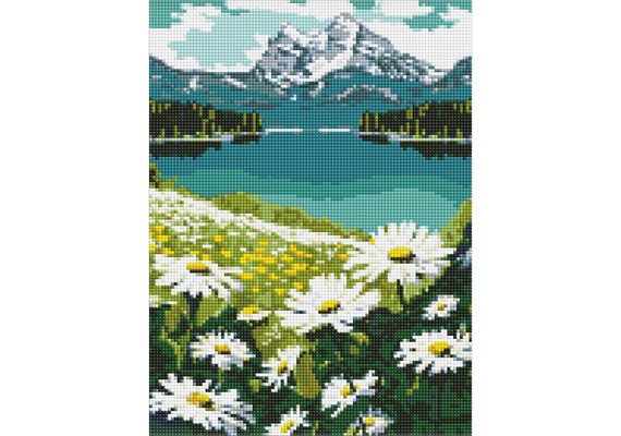 Ideyka AMO7803 Diamond Painting Blühende Gänseblümchen 30 x 40 mit Rahmen Ideyka AMO7803 Diamond Painting Blühende Gänseblümchen 30 x 40 mit Rahmen