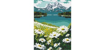 Ideyka AMO7803 Diamond Painting Blühende Gänseblümchen 30 x 40 mit Rahmen
