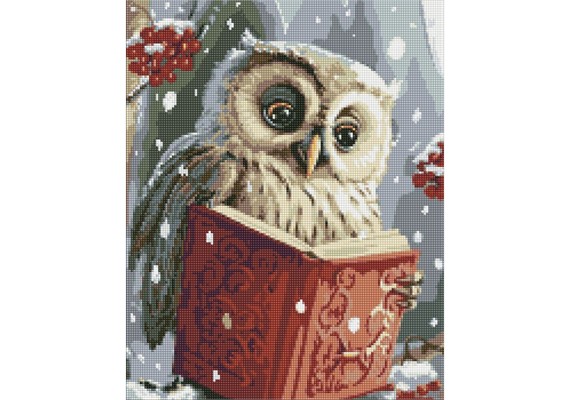 Ideyka AMO7816 Diamond Painting Schlaue Eule 40 x 50 cm