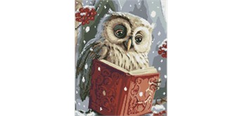 Ideyka AMO7816 Diamond Painting Schlaue Eule 40 x 50 cm