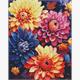 ideyka AMO7842 Diamond Painting - Bunte Dahlien mit Rahmen 40 x 50 cm