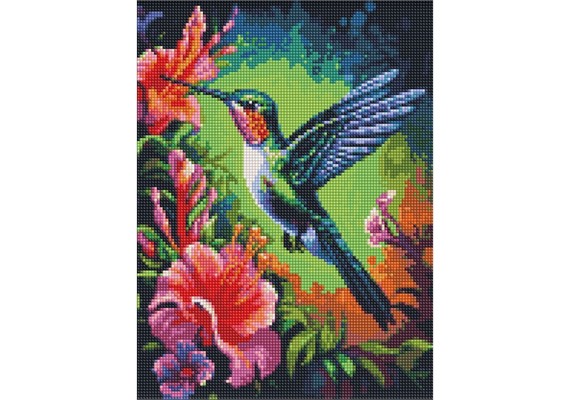 ideyka AMO7846 Diamond Painting - Kolibri mit Rahmen 30 x 40 cm ideyka AMO7846 Diamond Painting - Kolibri mit Rahmen 30 x 40 cm