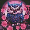 ideyka AMO7849 Diamond Painting - Lila Eule mit Rahmen 40 x 40 cm