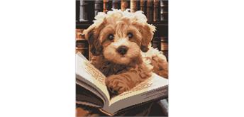 ideyka AMO7973 Diamond Painting - Flauschiger Leser mit Rahmen 40 x 50 cm