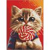 ideyka AMO7976 Diamond Painting - Katze mit Lutscher mit Rahmen 30 x 40 cm