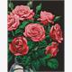 ideyka AMO7999 Diamond Painting - Luxuriöse Rosen mit Rahmen 40 x 50 cm