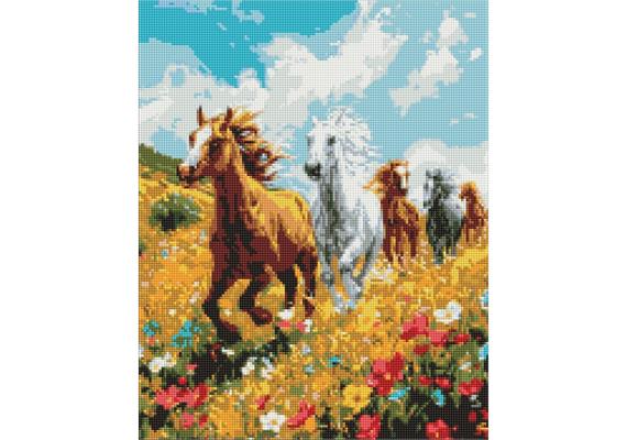 ideyka AMO8017 Diamond Painting - Harmonie mit Rahmen 40 x 50 cm