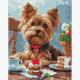 ideyka AMO8042 Diamond Painting - Die Teeparty eines Yorkies mit Rahmen 40 x 50 cm