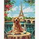 Ideyka AMO8054 Diamond Painting Retriever in Paris 40 x 50 mit Rahmen