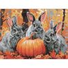 ideyka AMO8079 Diamond Painting - Kaninchenabenteuer 30 x 40 cm