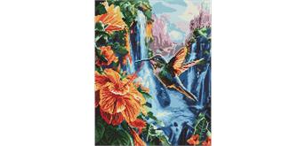 ideyka AMO8100 Diamond Painting - Ein tropischer Vogel mit Rahmen 40 x 50 cm