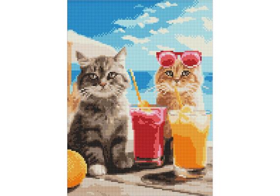 ideyka AMO8145 Diamond Painting - Katzen im Urlaub mit Rahmen 30 x 40 cm