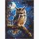 Ideyka AMO8160 Diamond Painting Nachteule 30 x 40 mit Rahmen