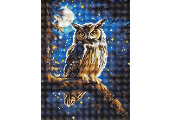 Ideyka AMO8160 Diamond Painting Nachteule 30 x 40 mit Rahmen Ideyka AMO8160 Diamond Painting Nachteule 30 x 40 mit Rahmen