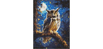 Ideyka AMO8160 Diamond Painting Nachteule 30 x 40 mit Rahmen