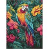 Ideyka AMO8163 Diamond Painting Tropischer Vogel 30 x 40 mit Rahmen
