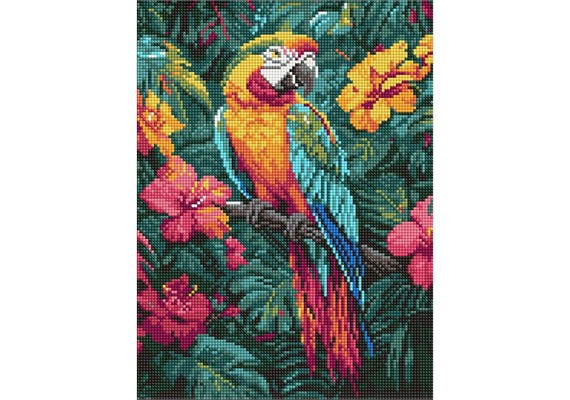 Ideyka AMO8163 Diamond Painting Tropischer Vogel 30 x 40 mit Rahmen Ideyka AMO8163 Diamond Painting Tropischer Vogel 30 x 40 mit Rahmen