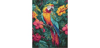 Ideyka AMO8163 Diamond Painting Tropischer Vogel 30 x 40 mit Rahmen