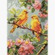 Ideyka AMO8164 Diamond Painting Frühlingskanarien 30 x 40 mit Rahmen