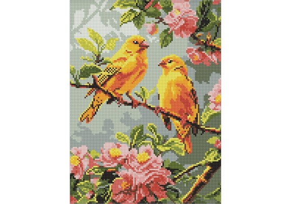 Ideyka AMO8164 Diamond Painting Frühlingskanarien 30 x 40 mit Rahmen Ideyka AMO8164 Diamond Painting Frühlingskanarien 30 x 40 mit Rahmen