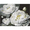 Ideyka AMO8169 Diamond Painting Makellose Schönheit 30 x 40 mit Rahmen
