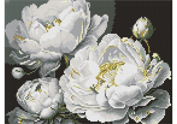 Ideyka AMO8169 Diamond Painting Makellose Schönheit 30 x 40 mit Rahmen Ideyka AMO8169 Diamond Painting Makellose Schönheit 30 x 40 mit Rahmen