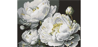 Ideyka AMO8169 Diamond Painting Makellose Schönheit 30 x 40 mit Rahmen