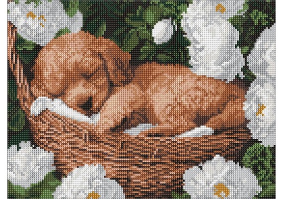 Ideyka AMO8170 Diamond Painting Schlafender Pudel 30 x 40 mit Rahmen Ideyka AMO8170 Diamond Painting Schlafender Pudel 30 x 40 mit Rahmen