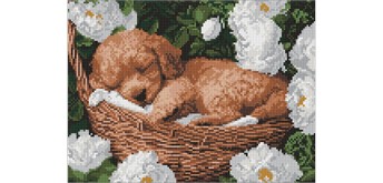 Ideyka AMO8170 Diamond Painting Schlafender Pudel 30 x 40 mit Rahmen