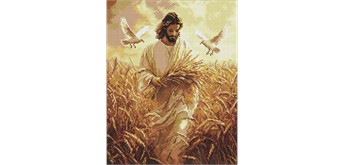 Ideyka AMO8204 Diamond Painting Ernte des Glaubens 40 x 50 mit Rahmen