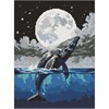 Ideyka AMO8233 Diamond Painting Sprung in den Himmel 30 x 40 mit Rahmen