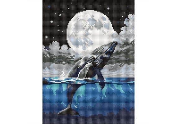 Ideyka AMO8233 Diamond Painting Sprung in den Himmel 30 x 40 mit Rahmen Ideyka AMO8233 Diamond Painting Sprung in den Himmel 30 x 40 mit Rahmen