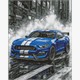 Ideyka AMO8248 Diamond Painting Blaue Rennen 40 x 50 mit Rahmen