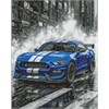 Ideyka AMO8248 Diamond Painting Blaue Rennen 40 x 50 mit Rahmen