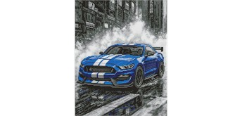 Ideyka AMO8248 Diamond Painting Blaue Rennen 40 x 50 mit Rahmen