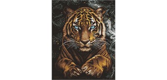 Ideyka AMO8348 Diamond Painting Wilder Tiger 40 x 50 cm