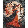 Ideyka AMO8364 Diamond Painting Hexe im Mondlicht 40 x 50 cm