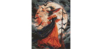 Ideyka AMO8364 Diamond Painting Hexe im Mondlicht 40 x 50 cm