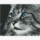 ideyka Diamond Painting - Katze mit Rahmen 40 x 50 cm