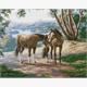 ideyka Diamond Painting - Pferde mit Rahmen 40 x 50 cm