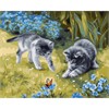 ideyka KHO4252 Malen nach Zahlen - Katzen im Garten 40 x 50 cm