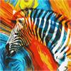 ideyka KHO4269 Malen nach Zahlen - Farbiges Zebra 50 x 50 cm
