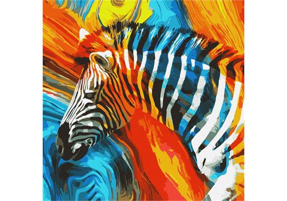 ideyka KHO4269 Malen nach Zahlen - Farbiges Zebra 50 x 50 cm