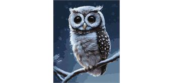 ideyka KHO4457 Malen nach Zahlen - Wald-Schleiereule 50 x 40 cm